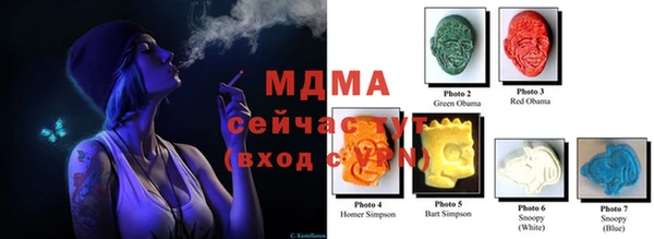 гашик Алексеевка