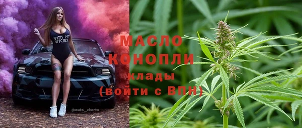 гашик Алексеевка